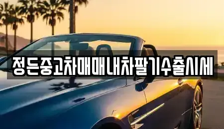 충북 충주시 수안보면 중고차매매 전문 정든중고차매매내차팔기수출시세