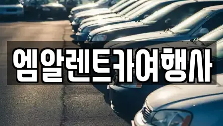 충청남도 공주시 금흥동 렌트카 전문 엠알렌트카여행사