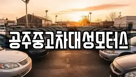 충청남도 공주시 금흥동 중고차 전문 공주중고차대성모터스