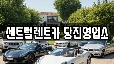 충청남도 당진시 행정동 렌트카 전문 센트럴렌트카 당진영업소