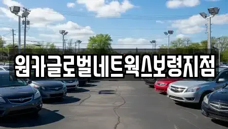 충청남도 보령시 죽정동 렌트카 전문 원카글로벌네트웍스보령지점