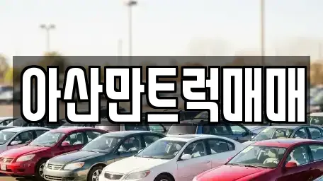 충청남도 아산시 영인면 중고차 전문 아산만트럭매매