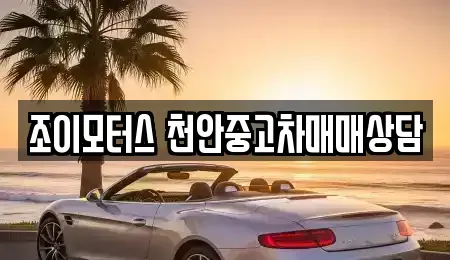 충청남도 중고차매매,단기렌트카,중고차매입,장기렌트카,중고차,렌트카