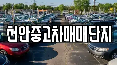 충청남도 중고차매매 전문 천안중고차매매단지