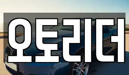 충청남도 천안시 동남구 용곡동 중고차 전문 오토리더