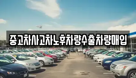 충청남도 천안시 동남구 용곡동 중고차 전문 중고차사고차노후차량수출차량매입