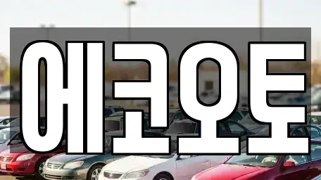 충청북도 청주시 흥덕구 서촌동 중고차 전문 에코오토