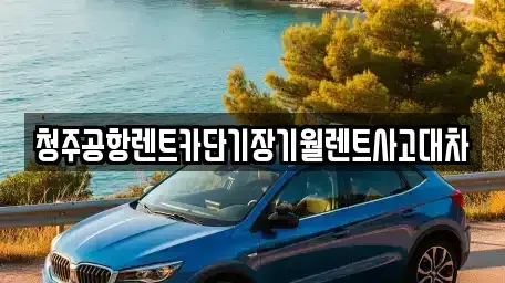 충청북도 청주시 흥덕구 송절동 렌트카 전문 청주공항렌트카단기장기월렌트사고대차