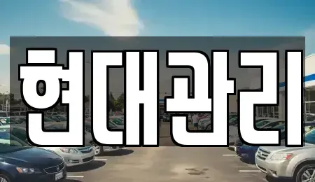 충청북도 청주시 흥덕구 송절동 렌트카 전문 현대관리