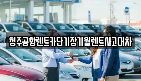 충청북도 청주시 흥덕구 원평동 렌트카 전문 청주공항렌트카단기장기월렌트사고대차