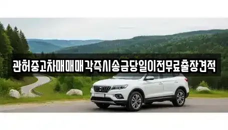 충청북도 청주시 흥덕구 원평동 중고차,렌트카,중고차매입,중고차매매,장기렌트카,단기렌트카