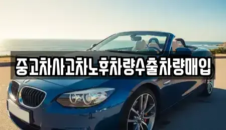 충청북도 청주시 흥덕구 휴암동 중고차매매 전문 중고차사고차노후차량수출차량매입