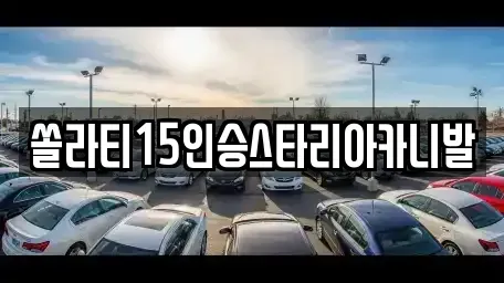 충청북도 충주시 수안보면 렌트카 전문 쏠라티15인승스타리아카니발