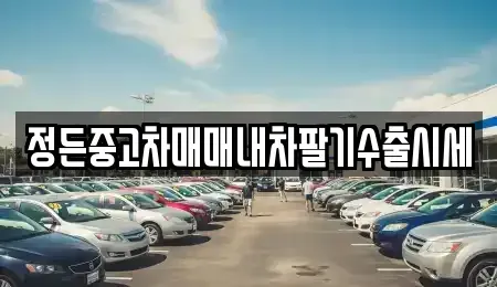 충청북도 충주시 수안보면 중고차매매 전문 정든중고차매매내차팔기수출시세