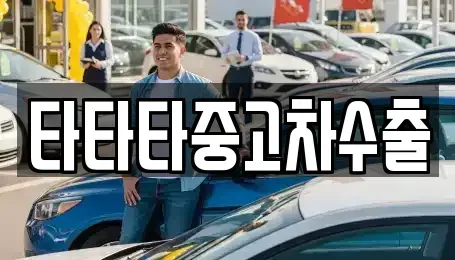 충청북도 충주시 수안보면 중고차매매 전문 타타타중고차수출
