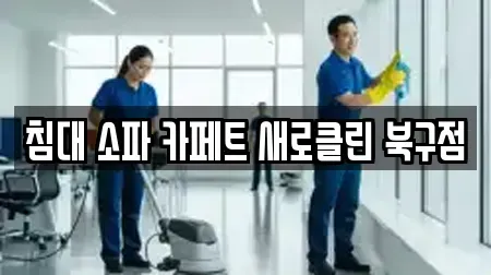 침대 소파 카페트 새로클린 북구점