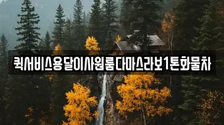 퀵서비스용달이사원룸다마스라보1톤화물차